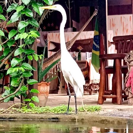Pousada Chale Na Roca Penedo Dış mekan fotoğraf