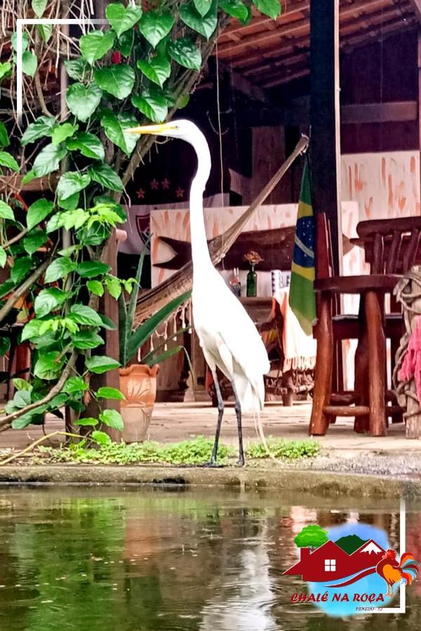 Pousada Chale Na Roca Penedo Dış mekan fotoğraf