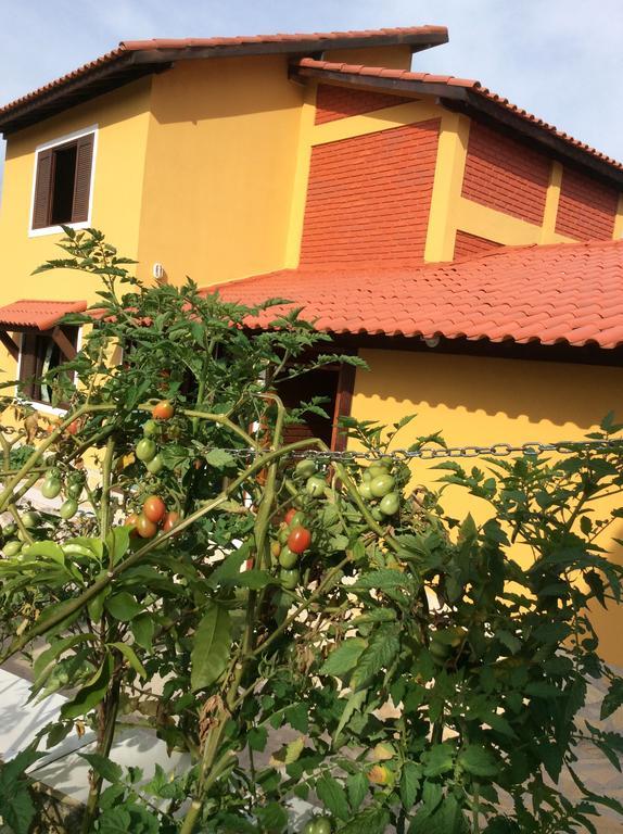 Pousada Chale Na Roca Penedo Dış mekan fotoğraf